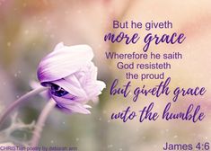 a purple flower with the words, but he giveth more grace