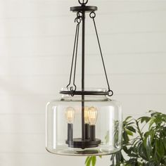 a hanging light fixture with two lights on each side and a potted plant in the background