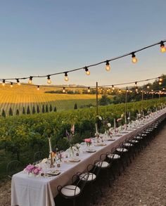 a long table is set up in the middle of a vineyard with lights strung over it