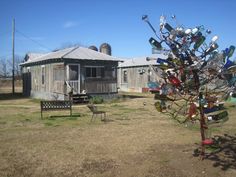 a tree made out of wine bottles in front of a building with a metal bench