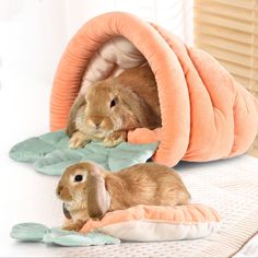 two rabbits are laying in their bed on the floor