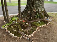 a tree that has some kind of house in the middle of it with moss growing all over it