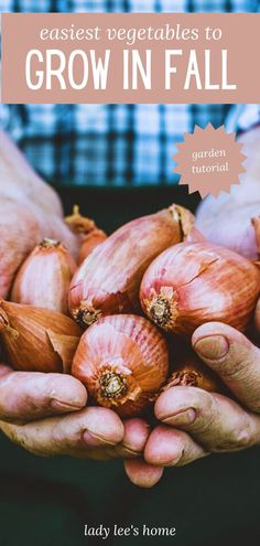 a person holding onions in their hands with the words easy vegetables to grow in fall