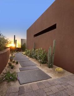 a walkway between two buildings with cactus and cacti in the background at sunset