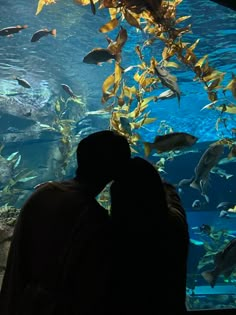 a man standing in front of an aquarium looking at fish