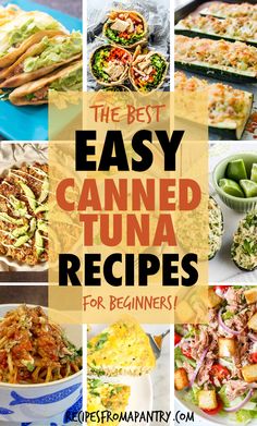 the best easy canned tuna recipes for beginners