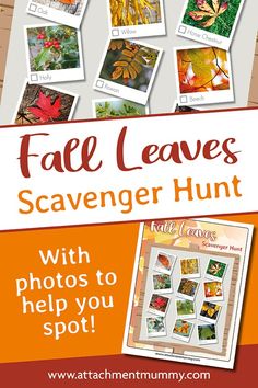 fall leaves scavenger hunt with photos to help you spot