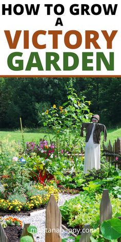 a garden with the title how to grow a victory garden on it's side