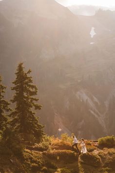 two people standing on top of a lush green hillside