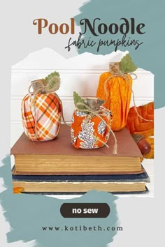 two pumpkins sitting on top of a book with the title pool noodle fabric pumpkins