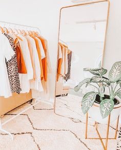 a room with a mirror, plant and clothes on hangers