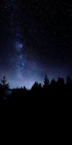 the night sky is filled with stars and trees