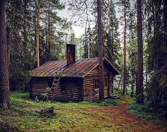 an old log cabin in the woods surrounded by trees