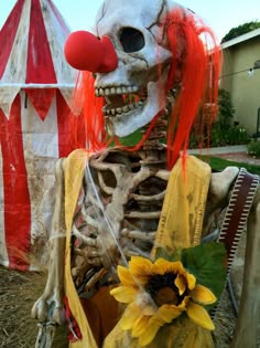 a skeleton dressed up as a clown with a sunflower in front of a tent