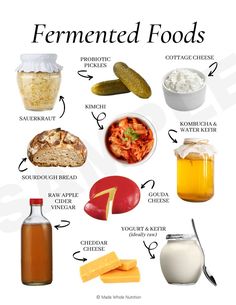 Hormone Nutrition, Balanced Recipes, Fermented Foods Benefits, Fermented Veggies, High Fibre, Water Kefir, Vegetarian Foods, Food Health Benefits