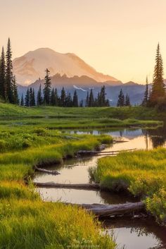 a stream running through a lush green field with mountains in the backgroung