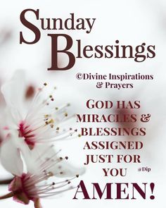 a poster with the words, sunday blessings and an image of a white flower