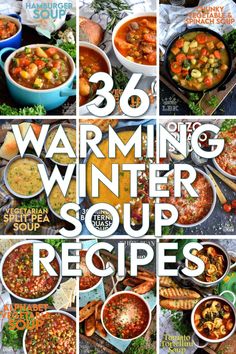 the cover of winter soup recipes