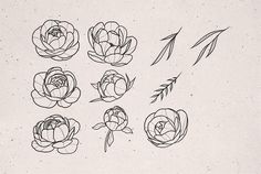 a bunch of flowers that are drawn in black ink