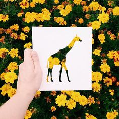 a person holding up a card with a giraffe on it in front of yellow flowers