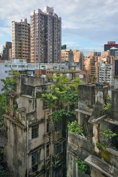 an old building with trees growing out of it's windows in front of the city skyline