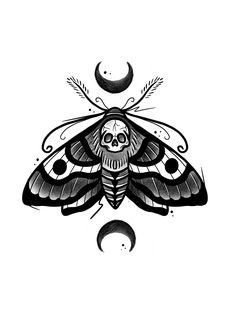 a black and white drawing of a moth with a skull on it's back