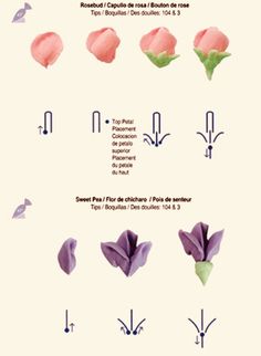 the instructions for how to make origami flowers