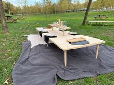 a picnic table set up on a blanket in the park