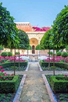 the garden is lined with trees and flowers