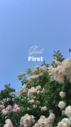 white and pink flowers with the words god first in front of them on a blue sky background