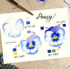 an image of pansy flowers painted with watercolors on dry eraser paper