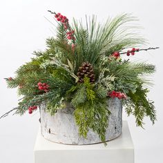 a potted plant sitting on top of a white pedestal with red berries and pine cones