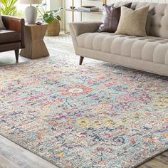 a living room area with couches and rugs