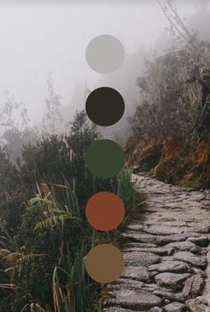 a stone path with circles on it in the middle of foggy mountains and grass