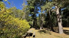 there is a picnic table in the woods