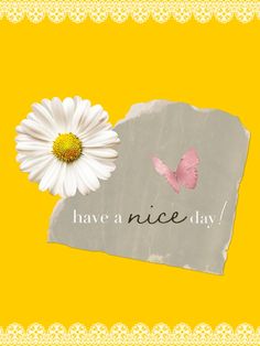 a white flower sitting next to a piece of paper that says have a nice day