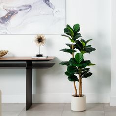 two potted plants sit next to each other in front of a painting on the wall