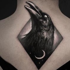 a black bird with the moon and crescent tattoo on its back shoulder, is shown