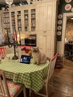 a cat sitting on top of a table next to a laptop computer in a kitchen