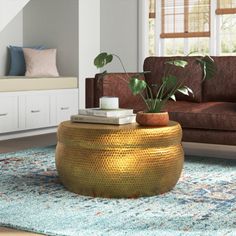 a living room with a couch, coffee table and plant in the middle of it