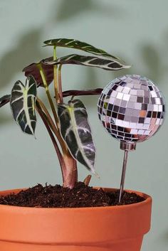 a potted plant with a mirror ball in it