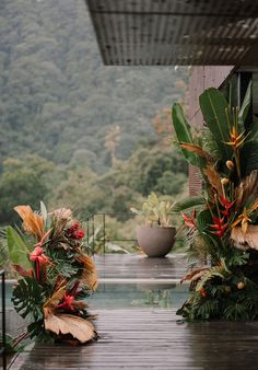 some plants that are on the side of a wooden deck in front of a building