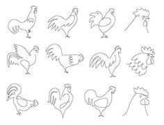 the different types of roosters are shown in black and white on a white background