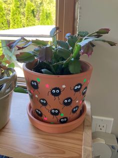 a potted plant sitting on top of a wooden table next to another potted plant