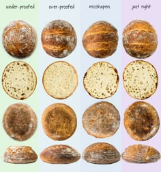 different types of breads are shown in the same color and size as well as each other