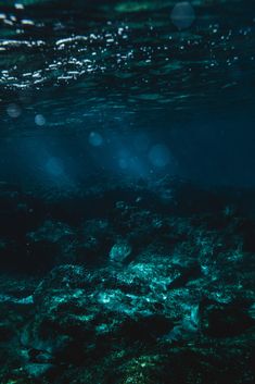 sunlight shining through the water onto an ocean floor