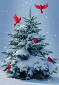 three red birds are flying around a christmas tree with snow on the ground and blue sky