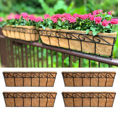 four flower pots with pink flowers in them sitting on a rail next to green plants