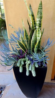 a black planter filled with green and purple plants on top of a stone floor