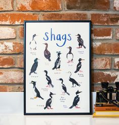 there are many different types of birds on this poster and the words shags written in blue